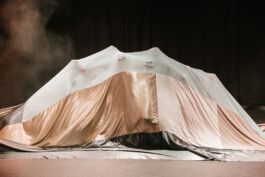 SILKE SCHUSTER